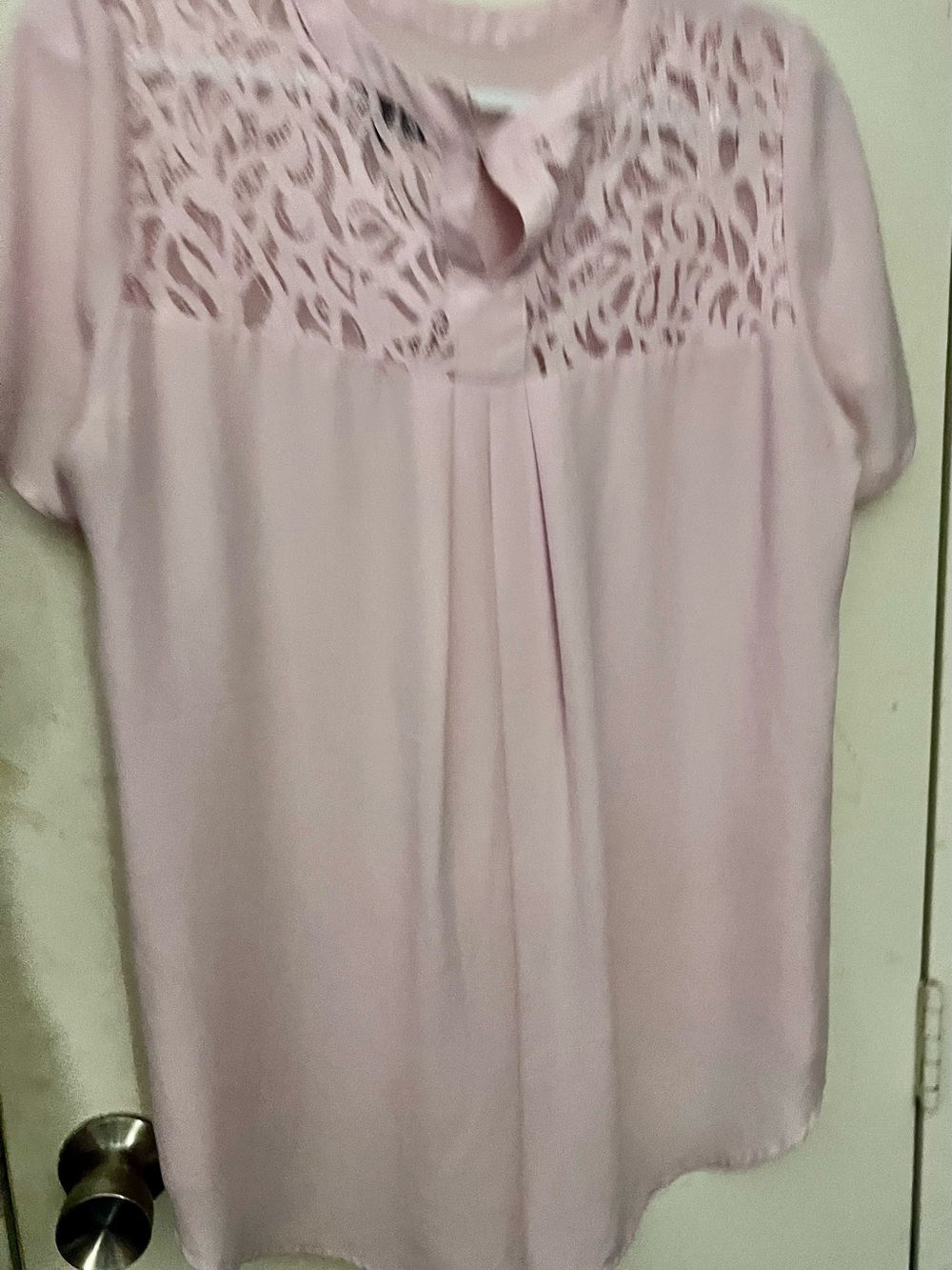 Premise Pale Pink Lace Yoke Blouse